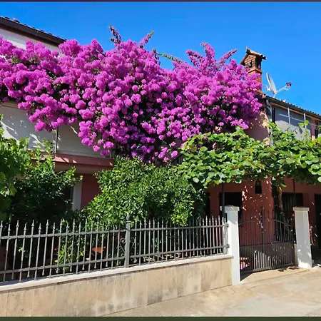 Appartamento Alina Pola