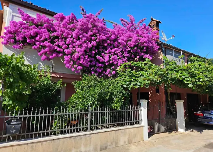 Apartmán Alina Pula